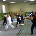 2015-10-31-frank-pelny-tonfa-lehrgang-015