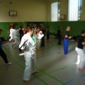 2015-10-31-frank-pelny-tonfa-lehrgang-016