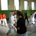 2015-10-31-frank-pelny-tonfa-lehrgang-021