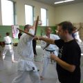 2015-10-31-frank-pelny-tonfa-lehrgang-036