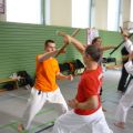 2015-10-31-frank-pelny-tonfa-lehrgang-037